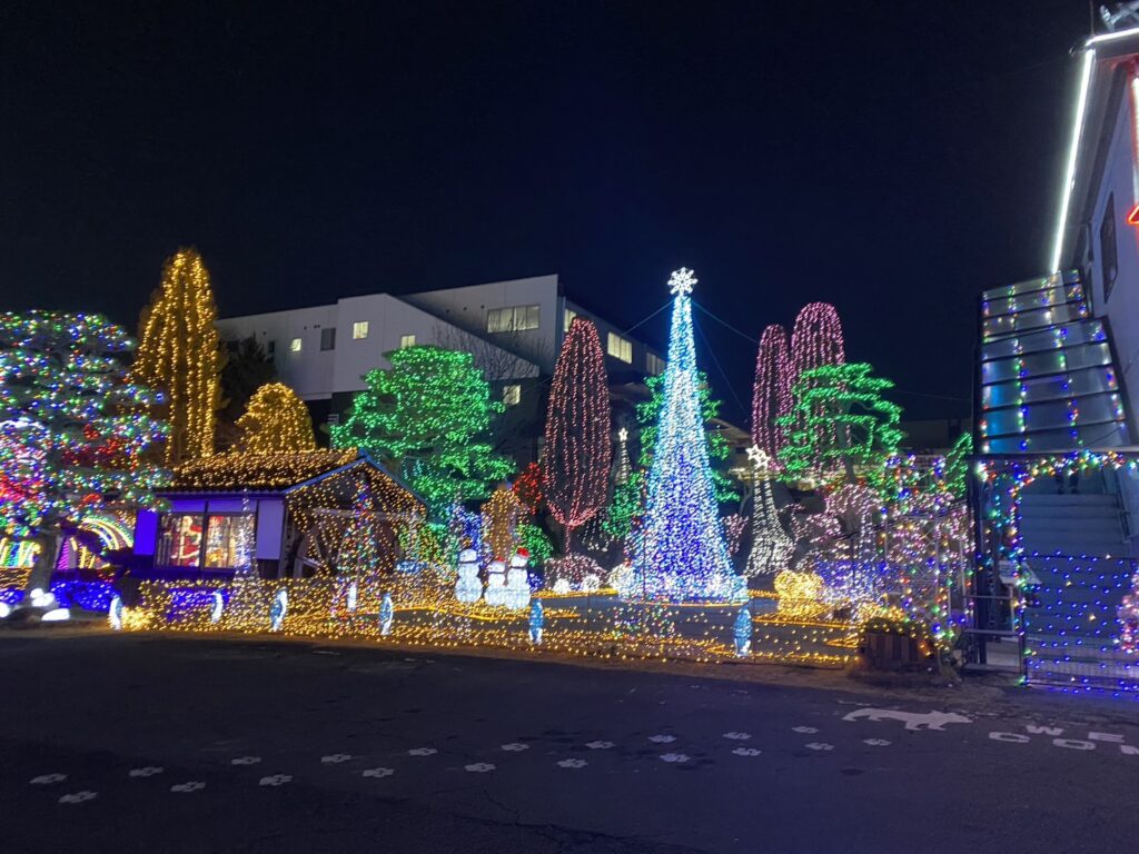 東御市イルミネーション イルミネーション エクステリアマート2025