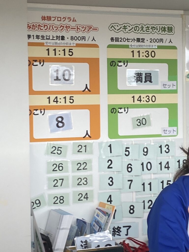 うみがたり ぺんぎんエサやり体験