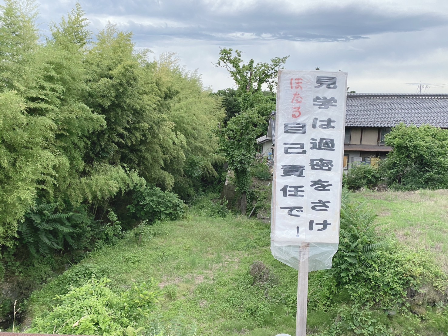 東御市ほたる 大川ほたる祭り