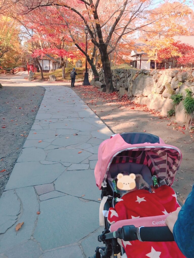 懐古園 紅葉まつり