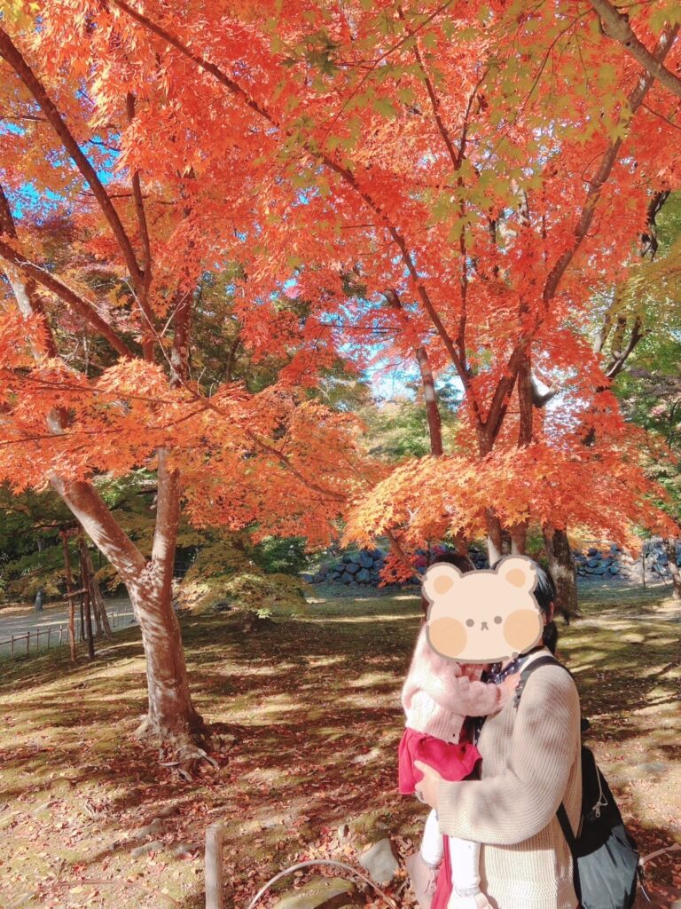 懐古園 紅葉まつり