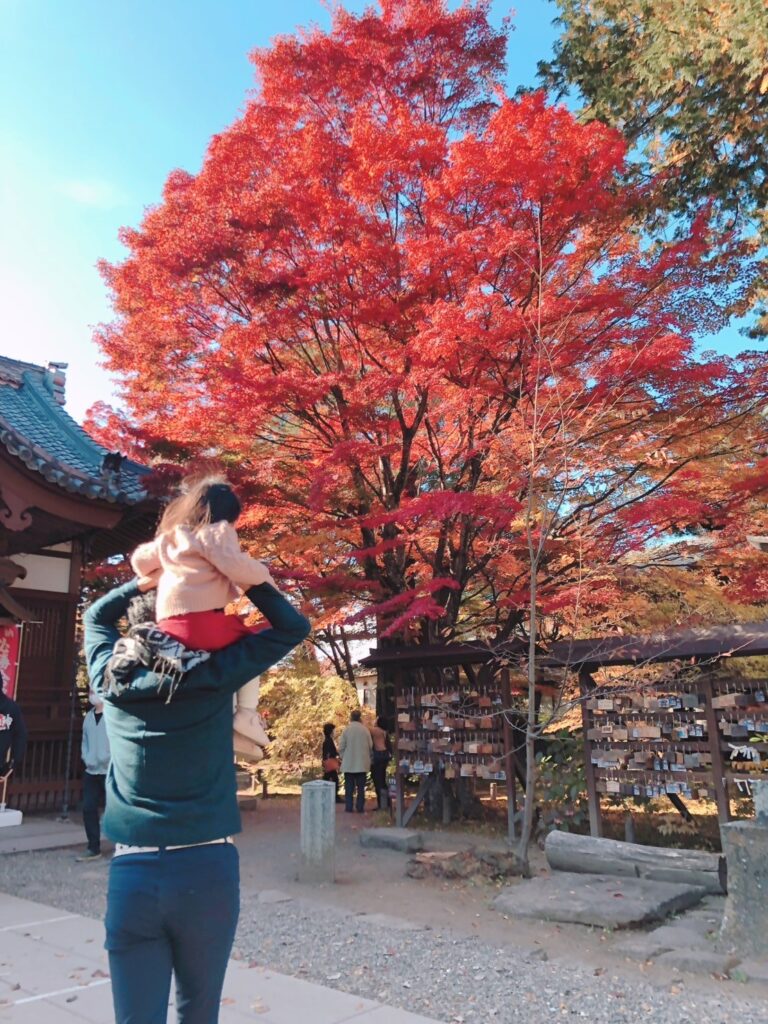 懐古園 紅葉まつり