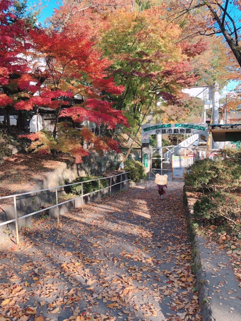 懐古園 紅葉まつり