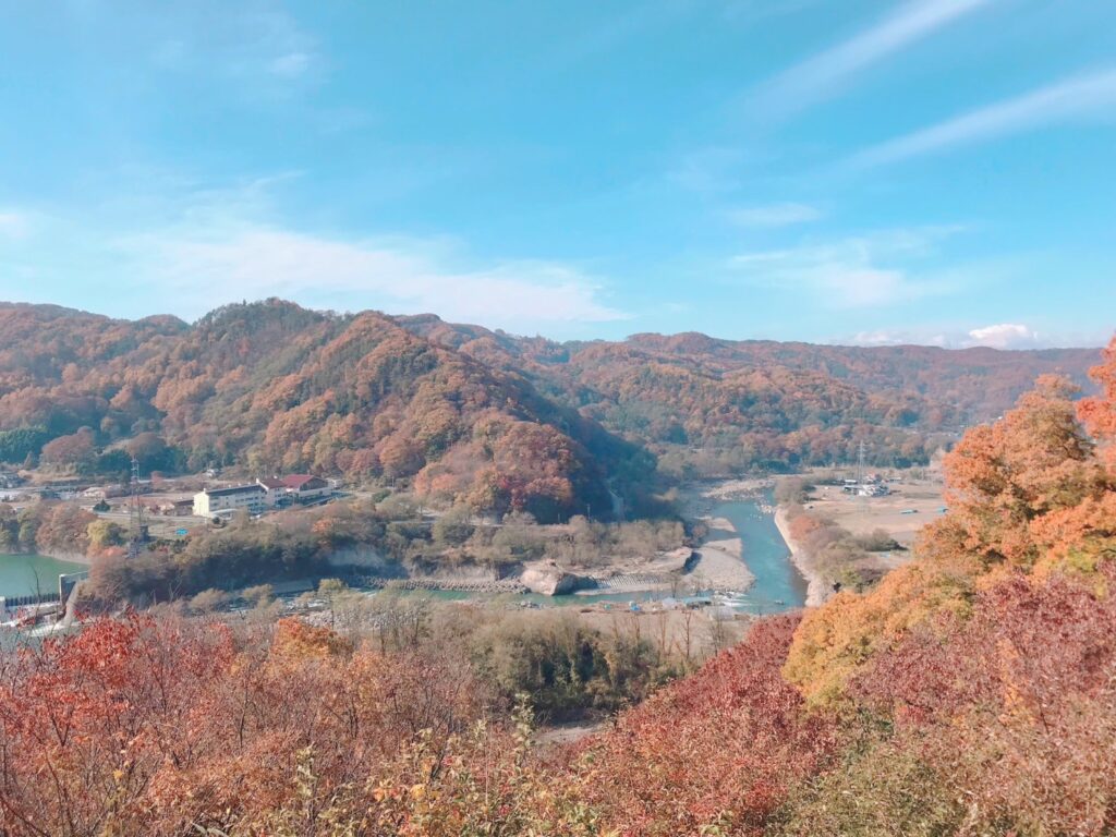 懐古園 紅葉まつり