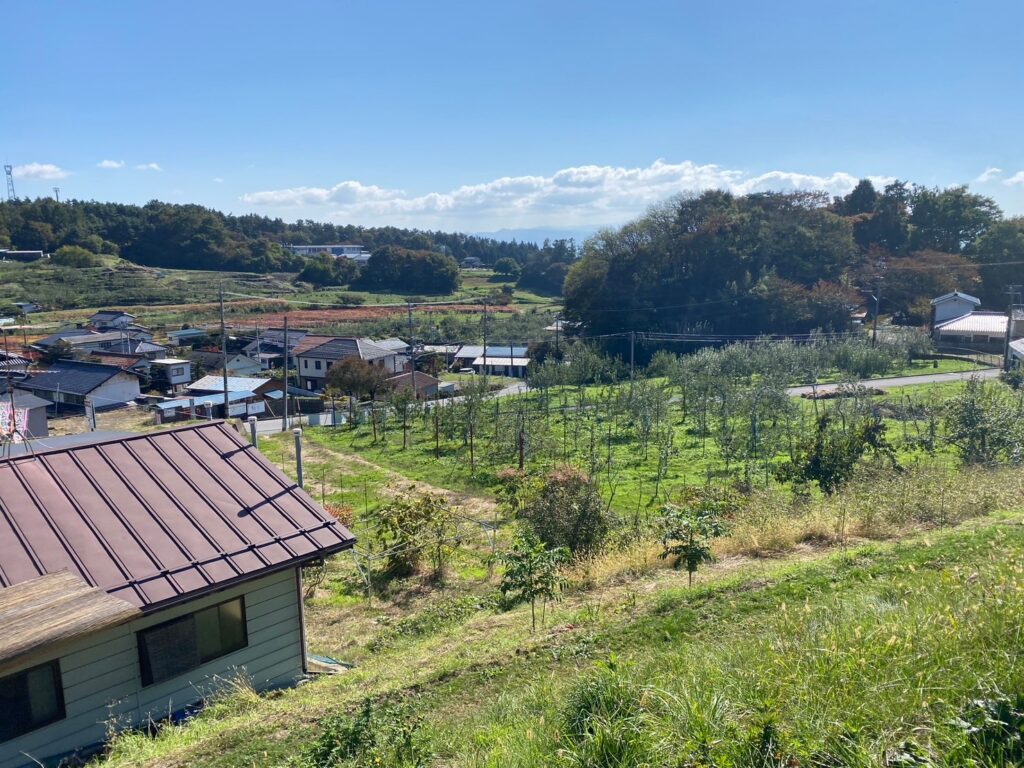 長野りんご狩り 大池農園