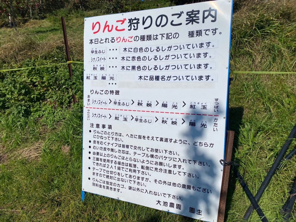 長野りんご狩り 大池農園