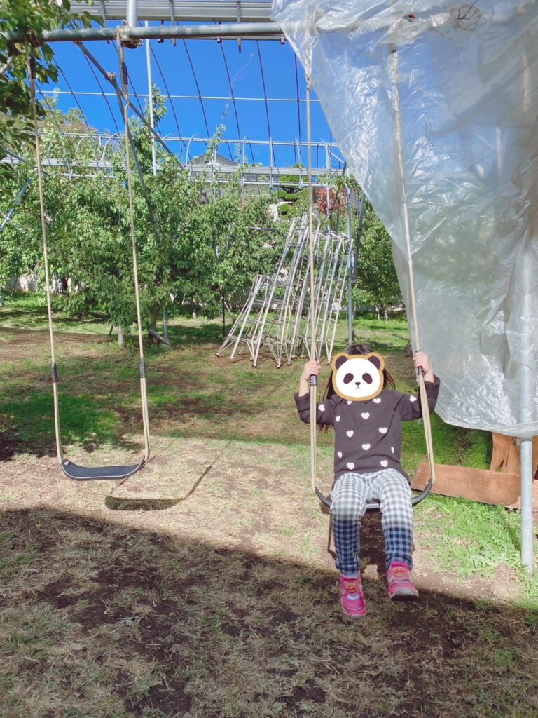 長野りんご狩り 大池農園 プルーン狩り